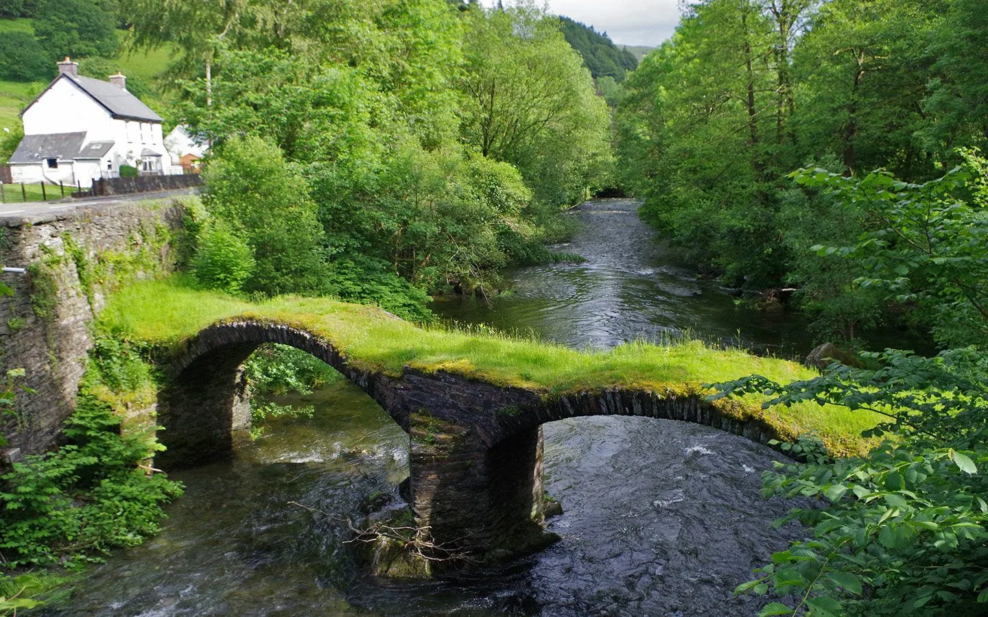 The Welsh Language Survival experience from Explore Churches