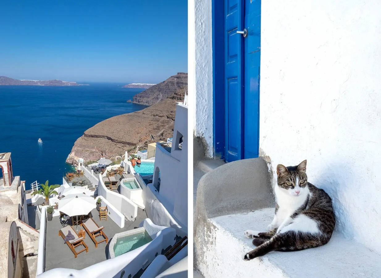 View across the caldera and Greek cat in Fira, Santorini