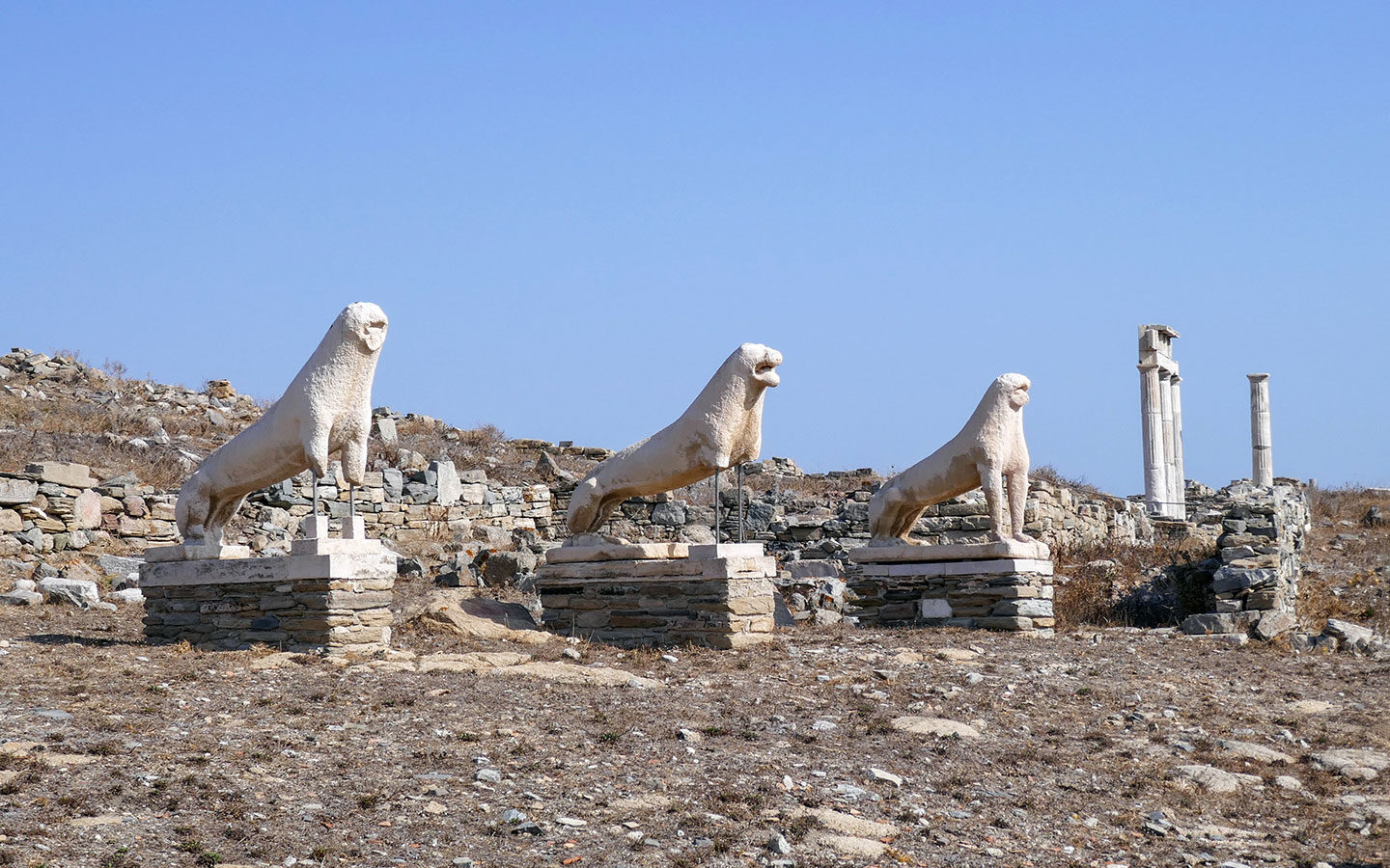 Statues in the Terrace of the Lions in Delos