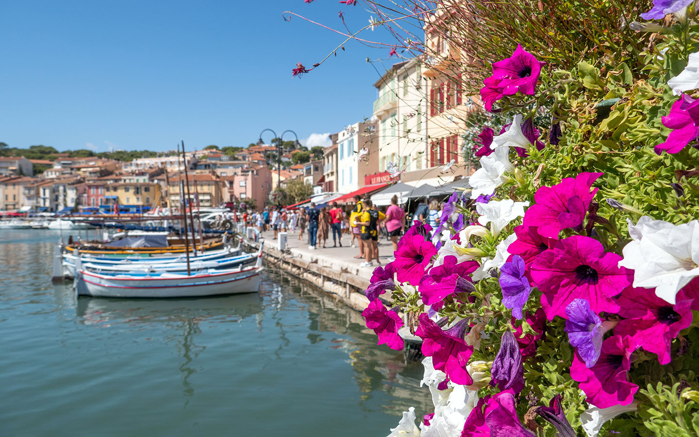 Colourful flowers in Cassis harbour
