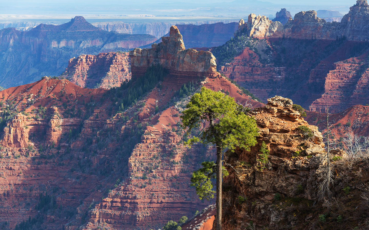 Grand Canyon views on a southwest USA road trip