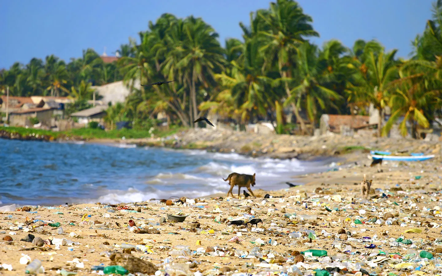 Plastic pollution covering a tropical beach