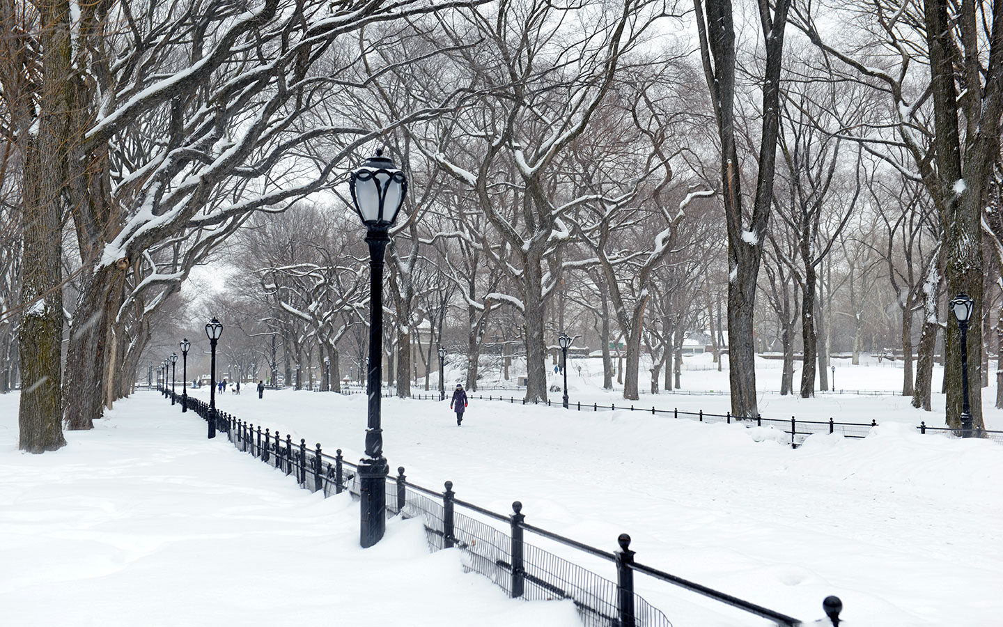 Snowy scenes in New York in winter