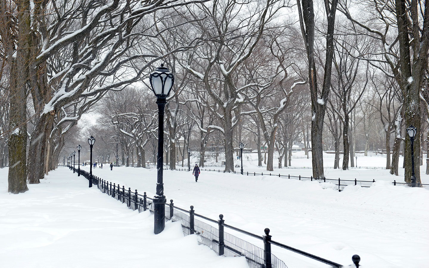 Winter in New York