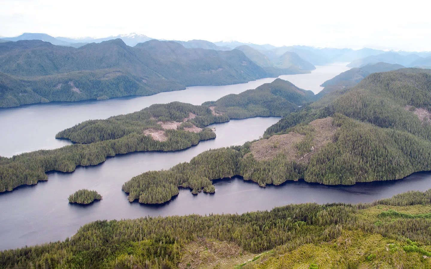 Views of the Great Bear Rainforest from a float plane