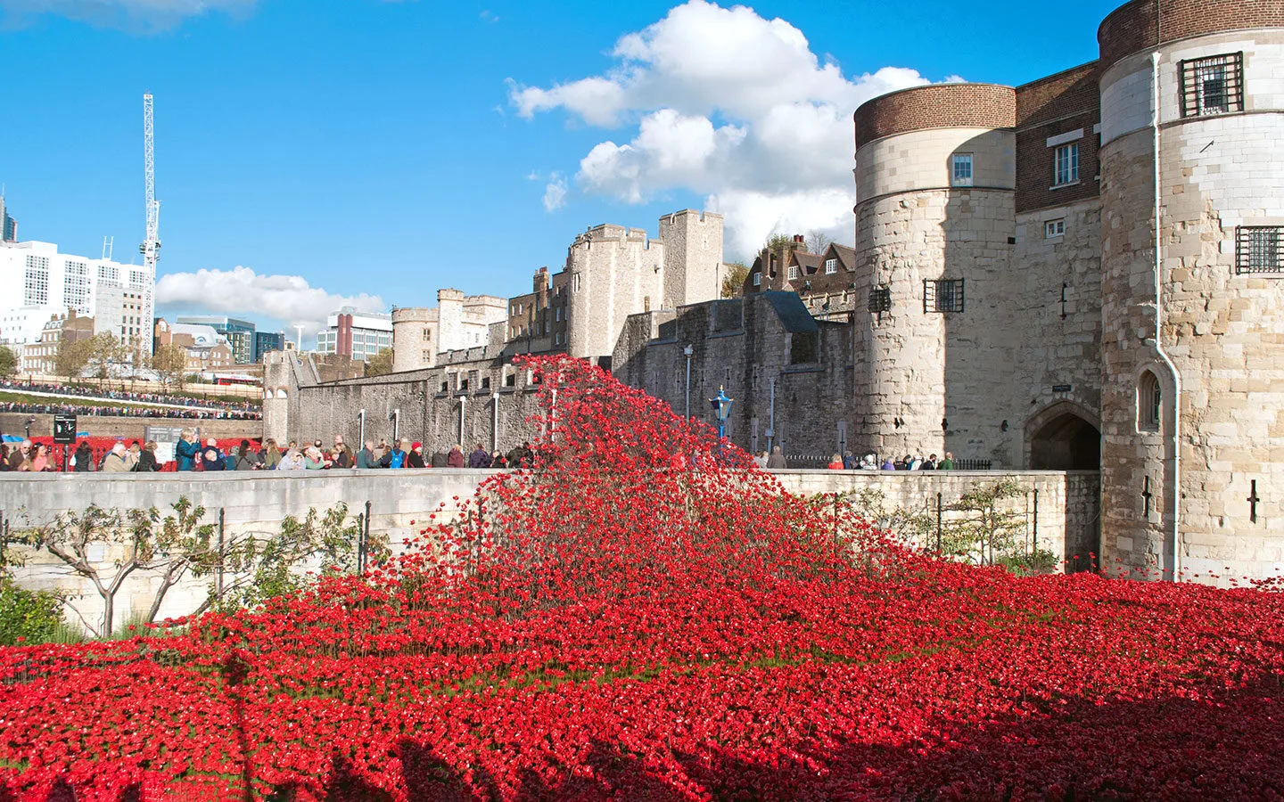 Remembrance poppies at the Tower of London
