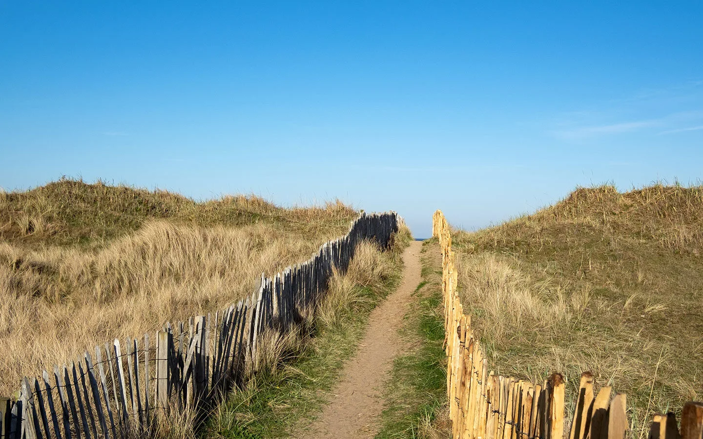 Path through the dunes to West Beach in St Andrews