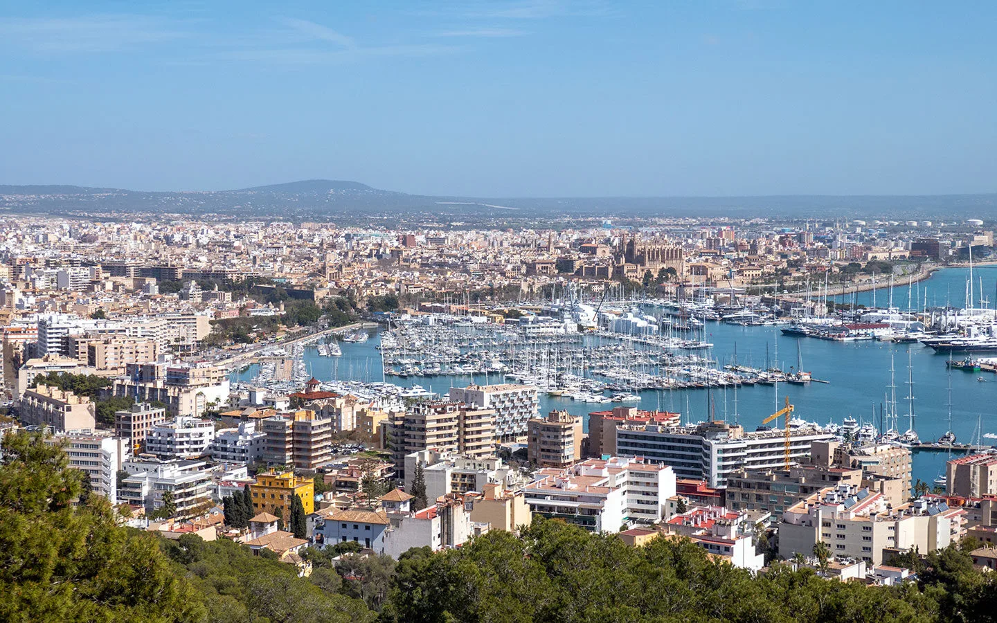 Views over Palma harbour and city from the Castell de Bellver